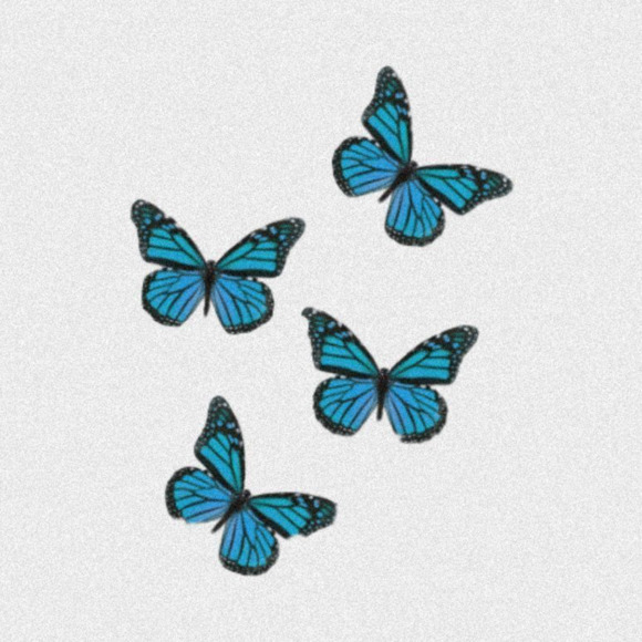 blue__butterfly